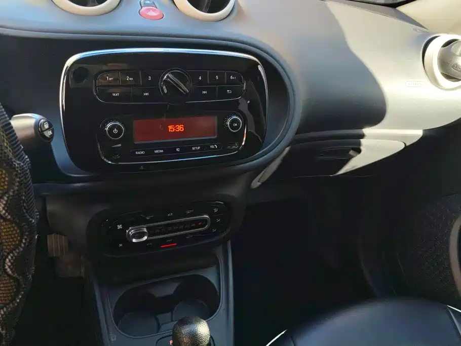 Фото 13 - smart forfour