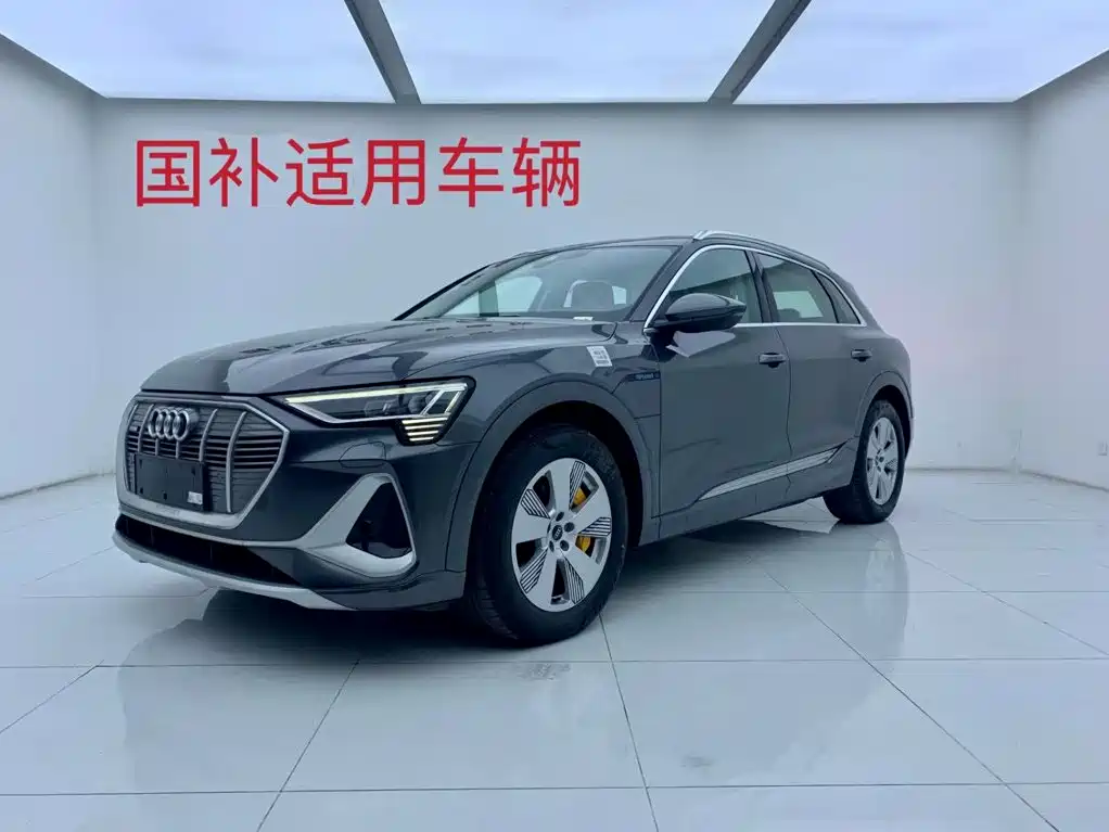 Audi e-tron 2026 2021 50 quattro Luxury