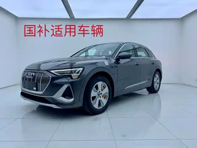 Audi e-tron 50 quattro, Люкс
