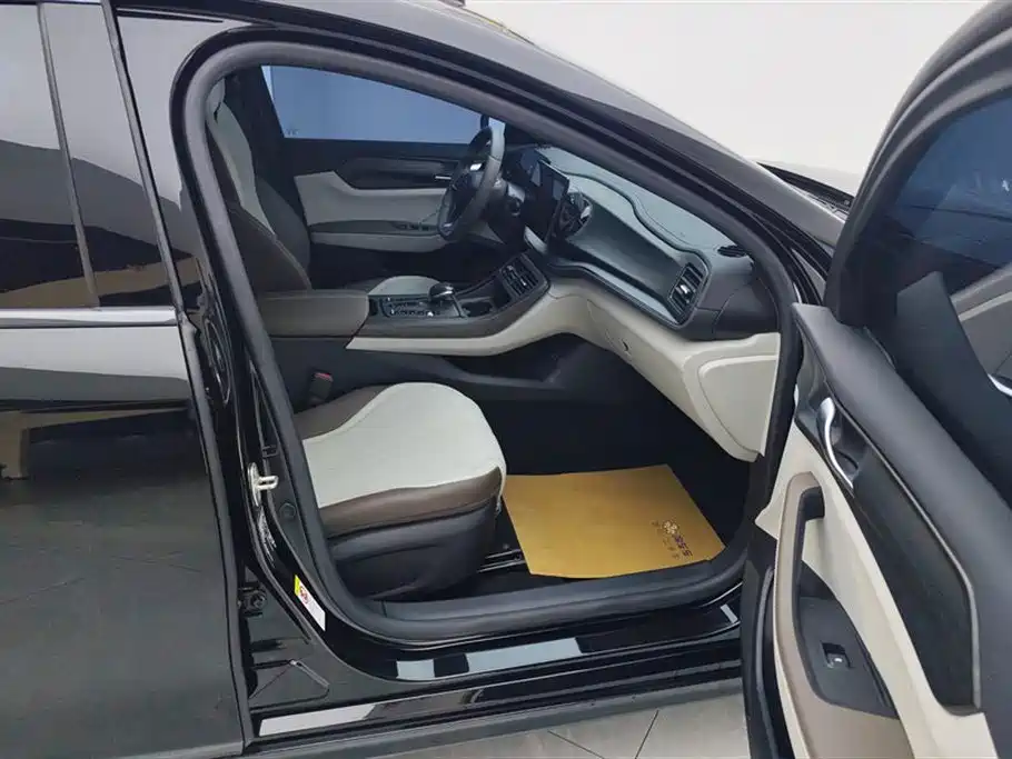BYD Qin PLUS 2024 Glory Edition DM-i 55KM Leading фото 8
