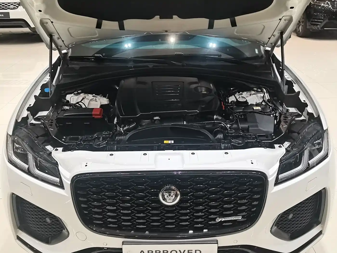 Jaguar F-PACE 2024 2024 P250 R-Dynamic SE