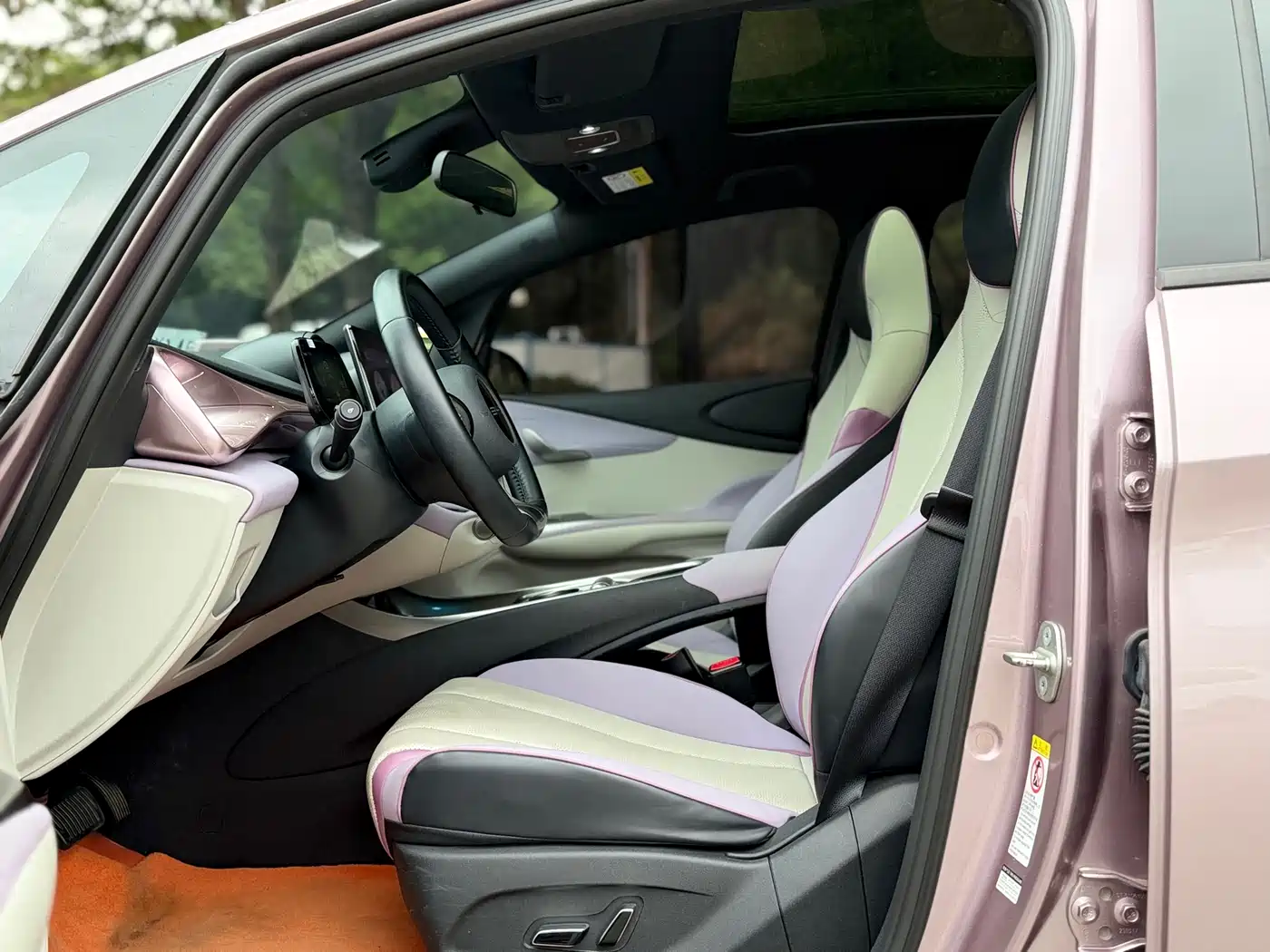 BYD Dolphin 2023 420km Fashion Edition фото 10