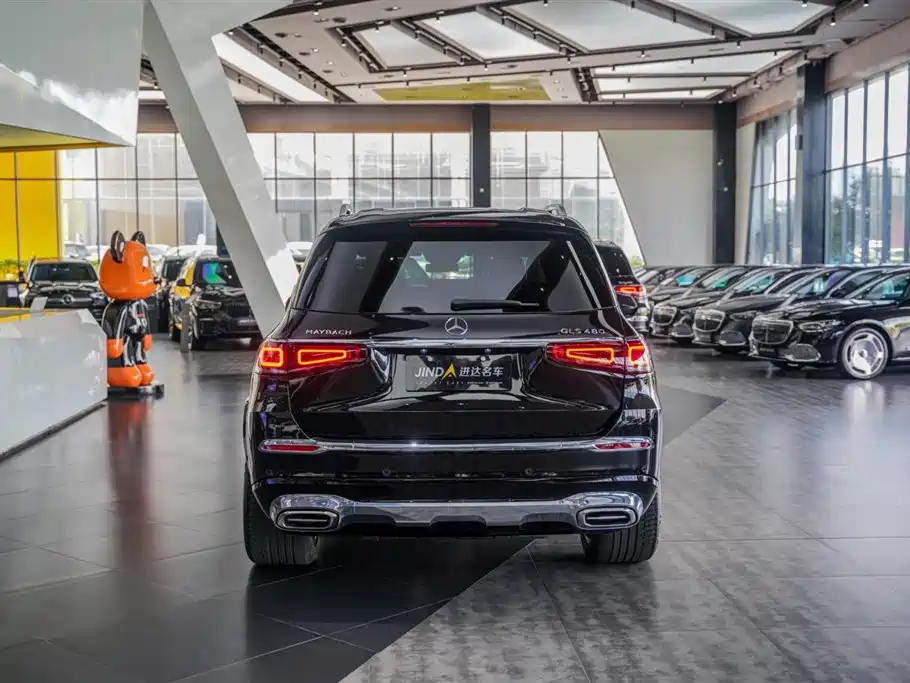 Mercedes-Benz Maybach GLS 2022 GLS 480 4MATIC фото 18