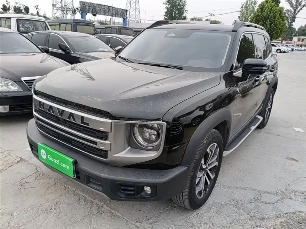 Haval Big Dog 2024 1.5T DCT Border Collie Edition