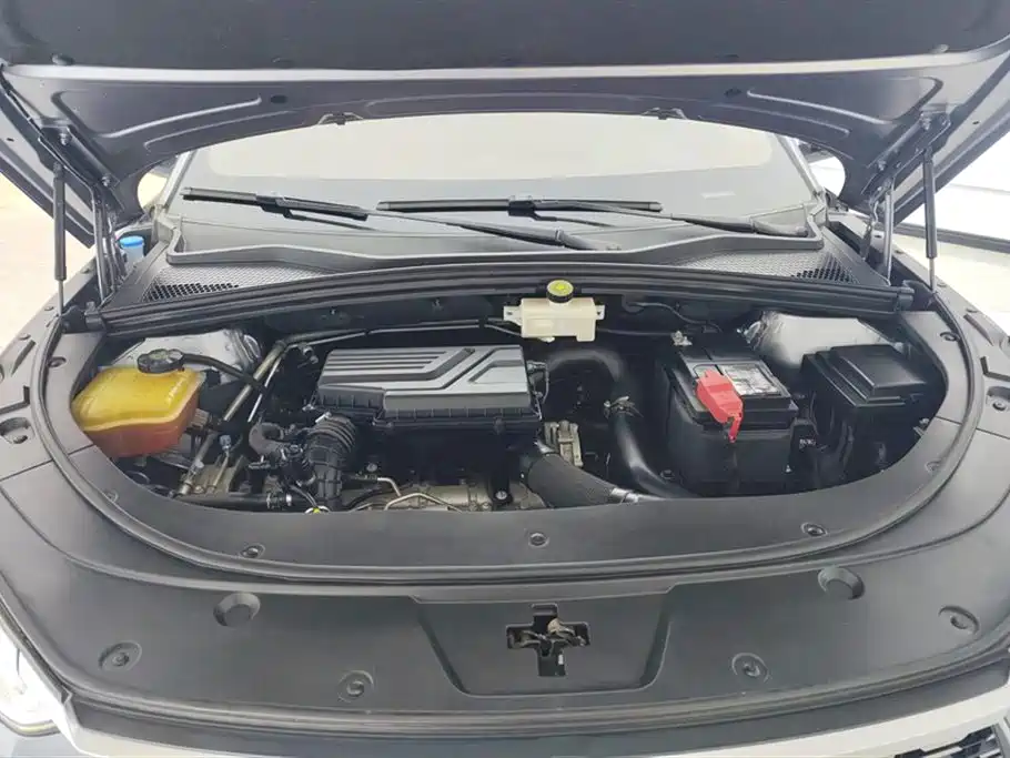 BYD Song PLUS 2020 1.5T Automatic Flagship фото 10