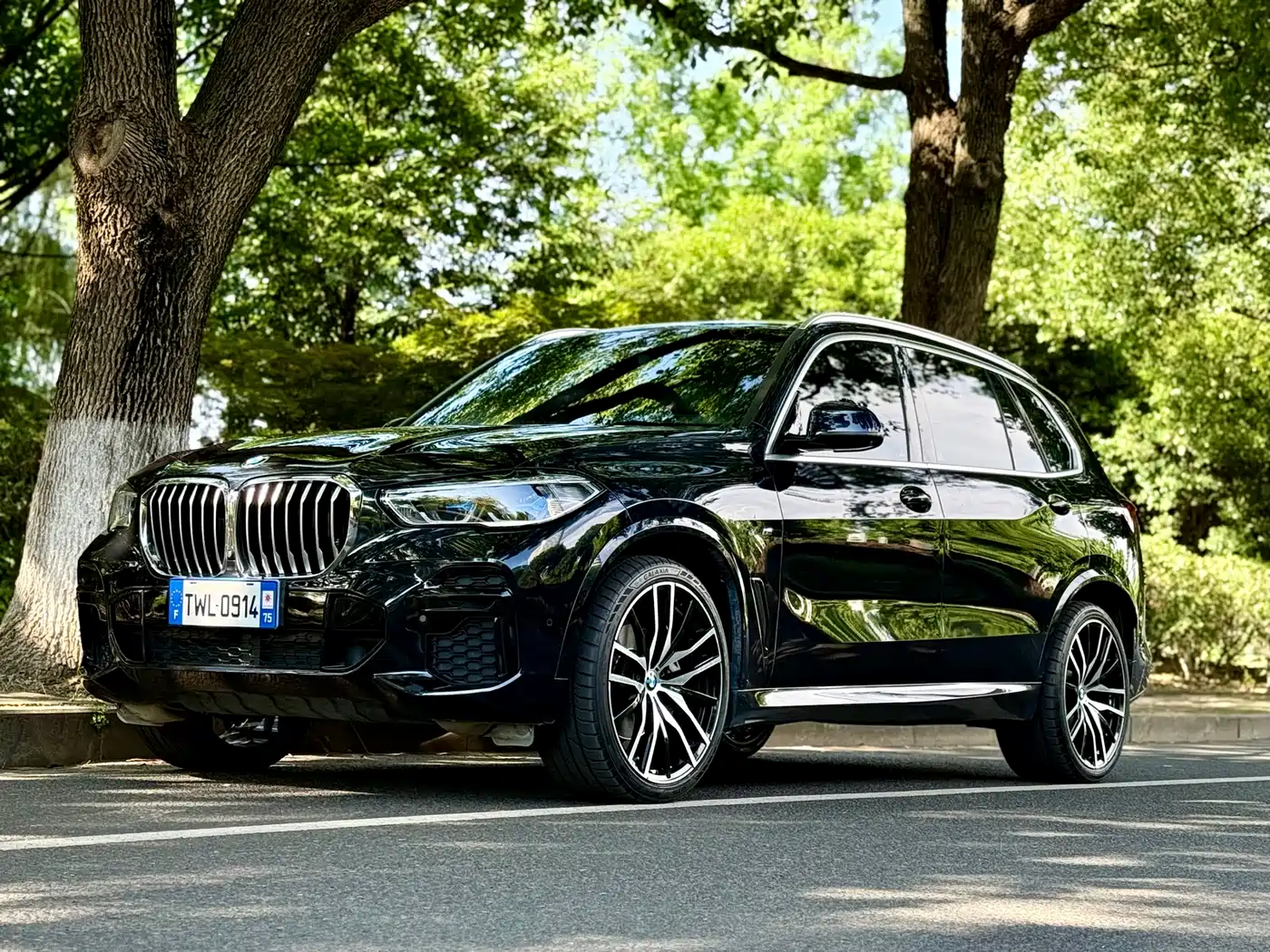 BMW X5 2022 Facelift xDrive 40Li M Sport Package