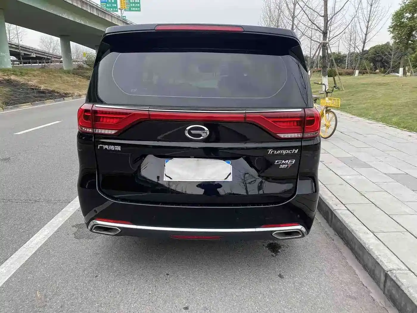 GAC Trumpchi Trumpchi M8 2018 320T Premium Edition фото 15