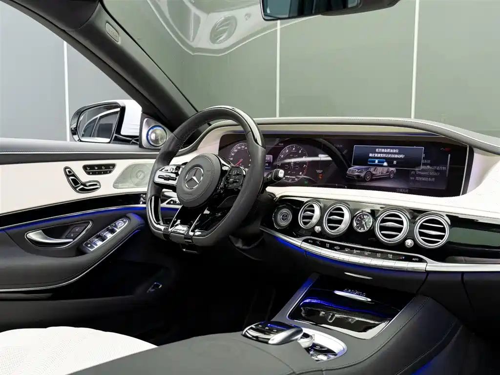 Mercedes-Benz S-Class AMG 2018 AMG S 65 L фото 18