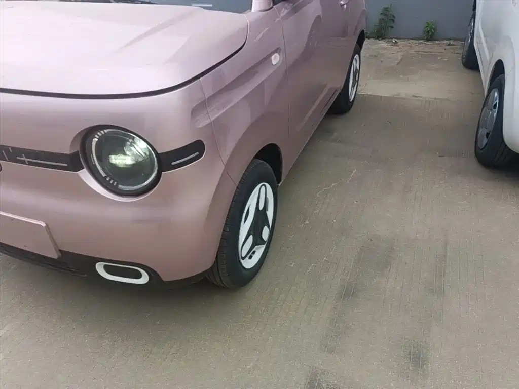 Geely Galaxy Panda 2025 Panda mini 210km Vitality Bear фото 23