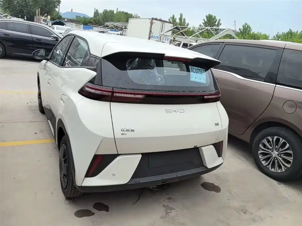 BYD Seagull 2025 Smart Drive Edition 305km Vitality Version фото 6