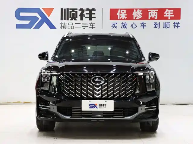 GAC Trumpchi Trumpchi GS8 2025 Pilot Series 2.0TGDI 2WD Luxury Edition 5-seater — фото 2