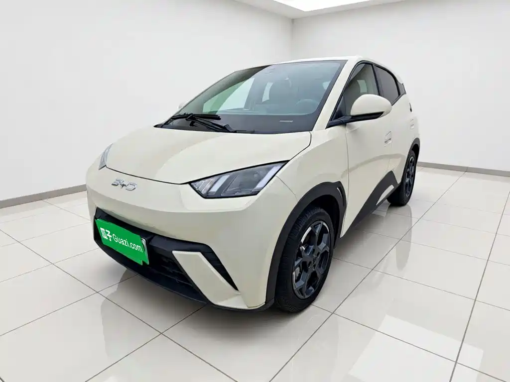 BYD Seagull 2024