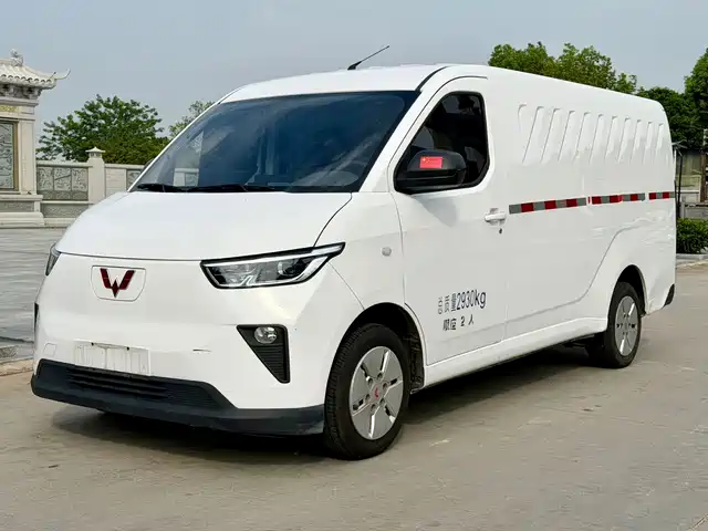  Wuling Motors Wuling Yangguang 2024 300km Comfort Enclosed Van 60kW