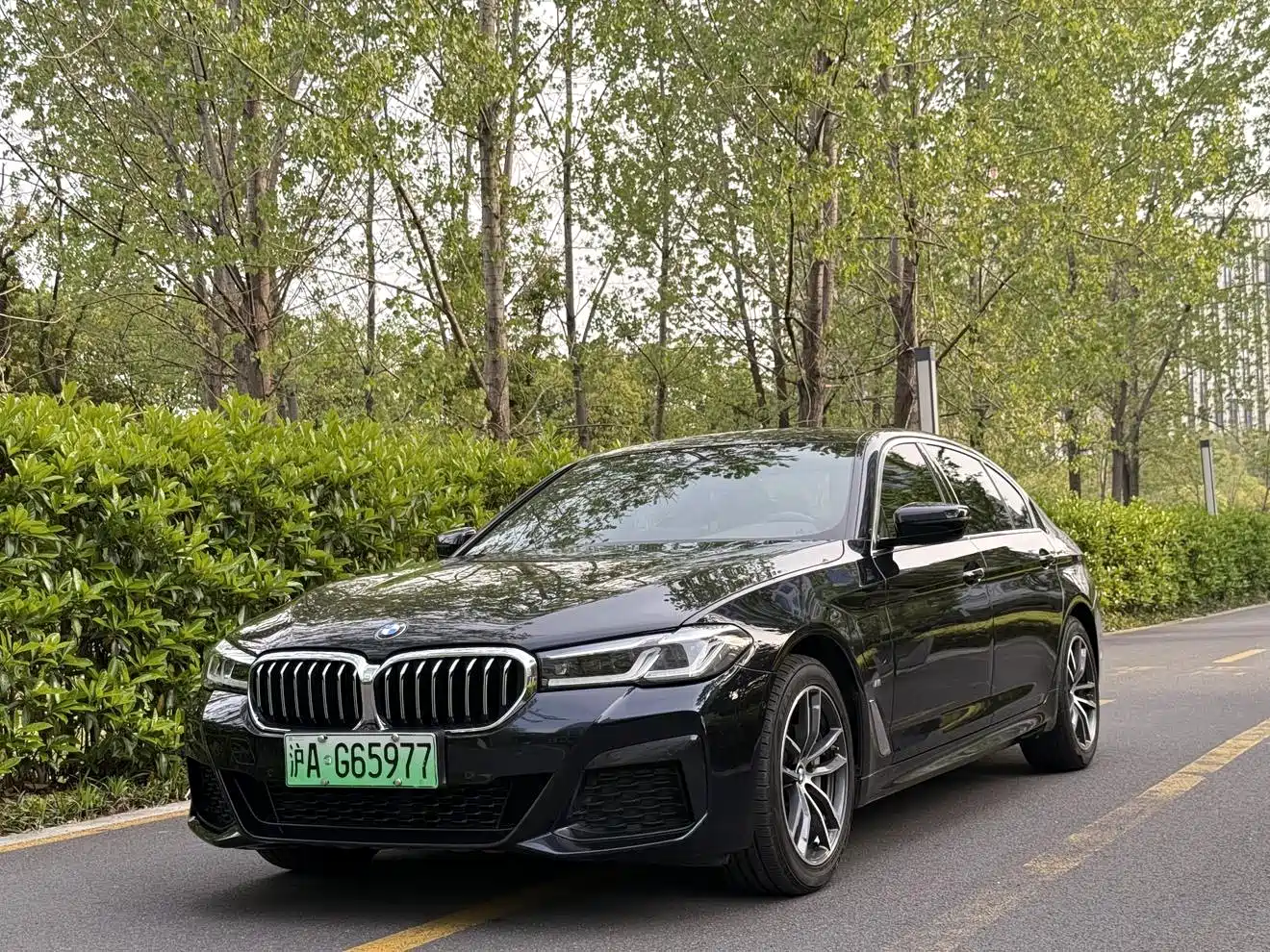 BMW 5 Series New Energy 2021