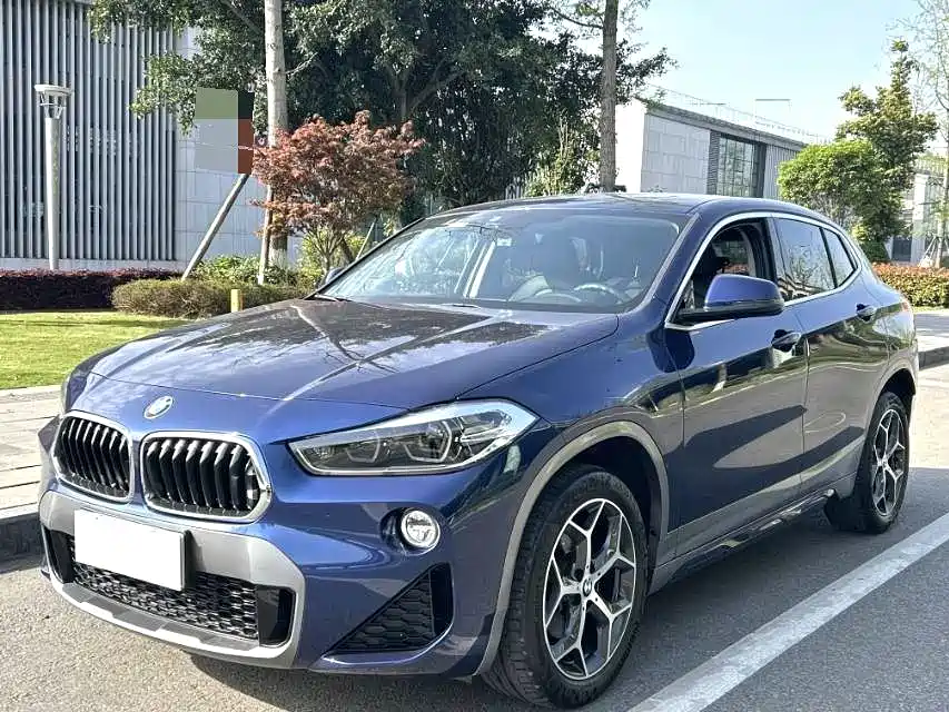 BMW X2 (Import) 2019 sDrive20i M Off-Road Package China VI