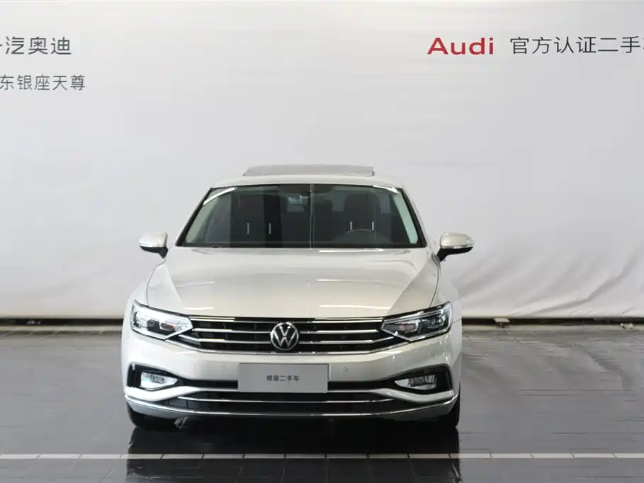Volkswagen Magotan 2020 330TSI DSG Luxury фото 2