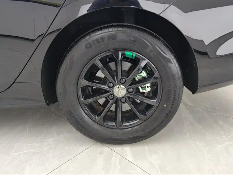 BYD Qin PLUS 2024 Glory Edition DM-i 55KM Leading фото 6
