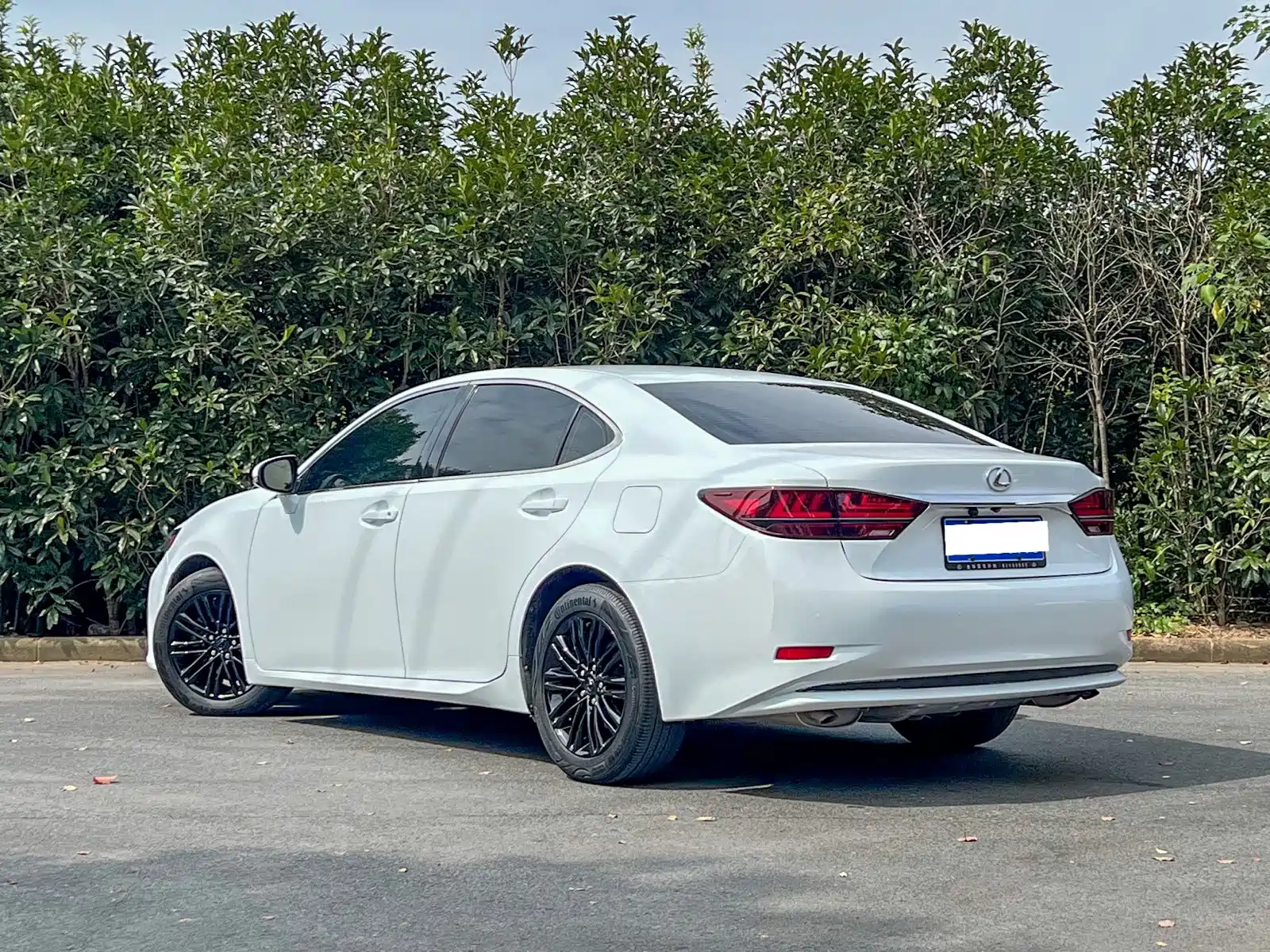 Фото 6 - Lexus ES