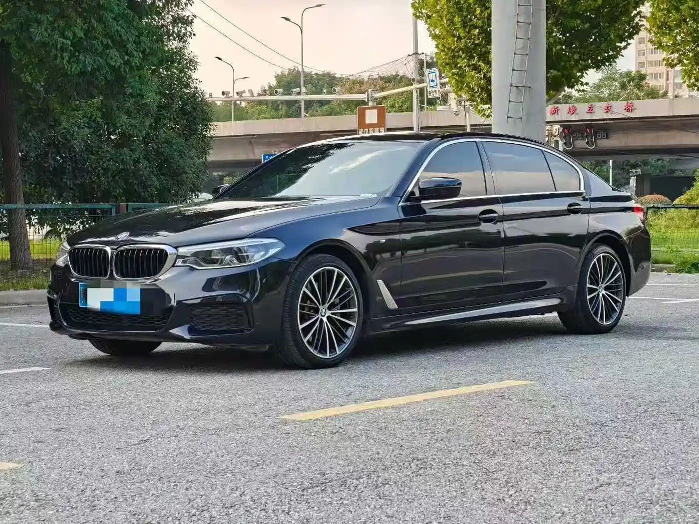 BMW 5 Series 2019 530Li Leading M Sport Package