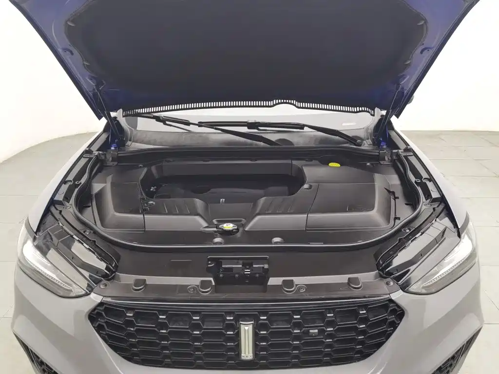 WEY VV6 2019 2018 2.0T 2WD Super Luxury China V