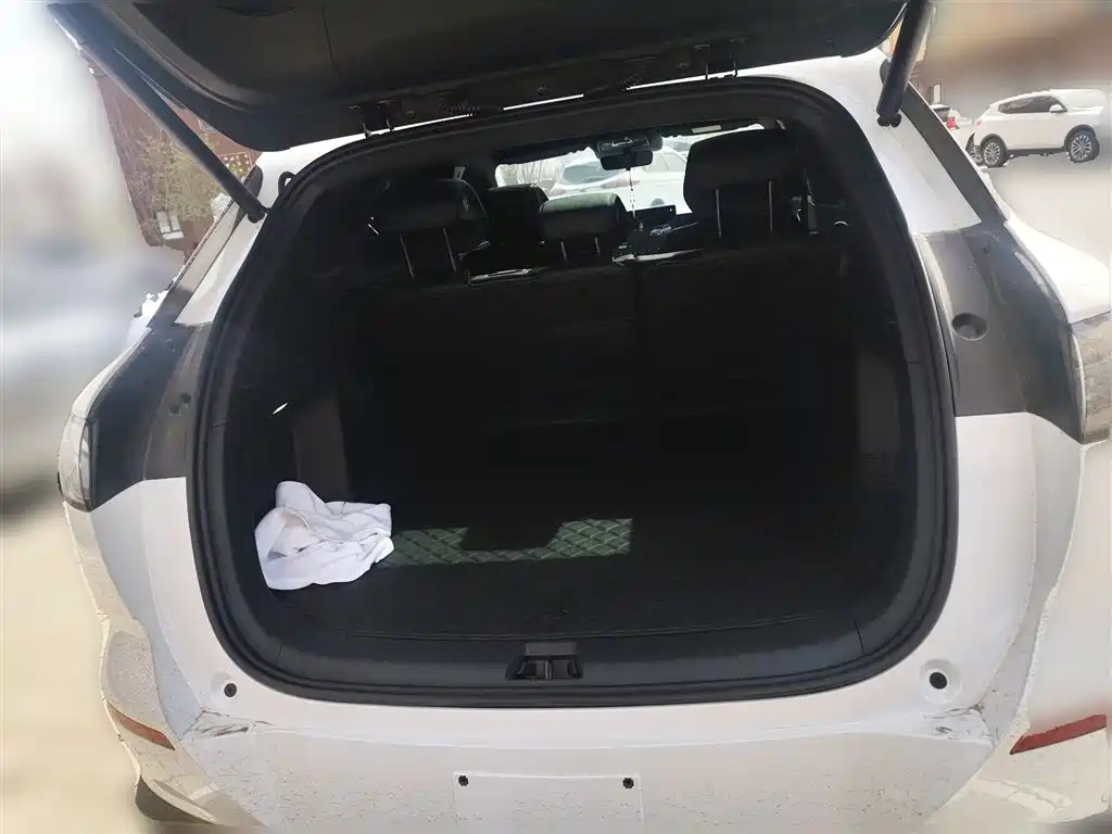 BYD Sealion 06 New Energy 2025 EV 605 Pilot Pro Edition фото 10