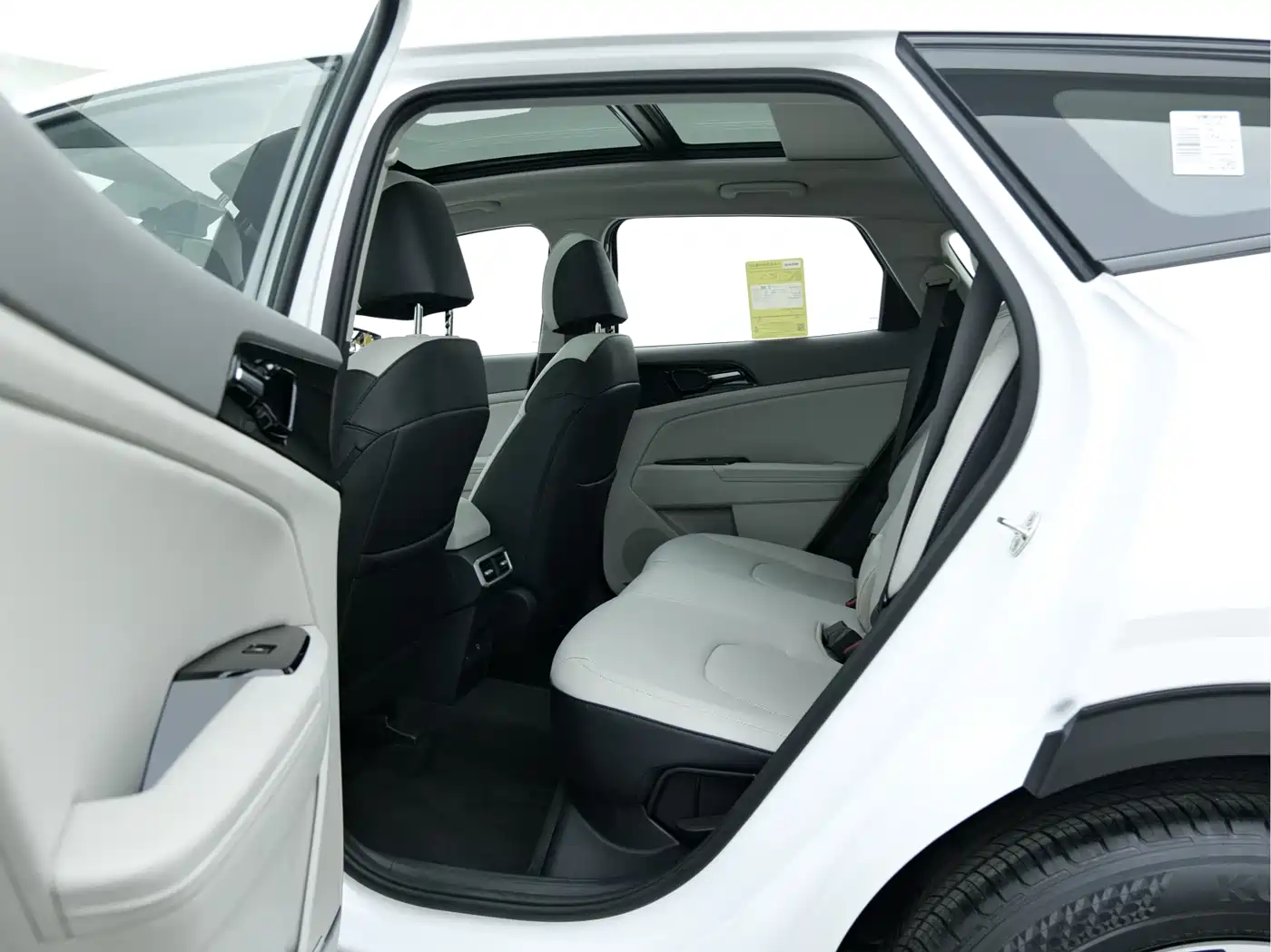 KIA LION PLATINUM EXPANDS THE WORLD