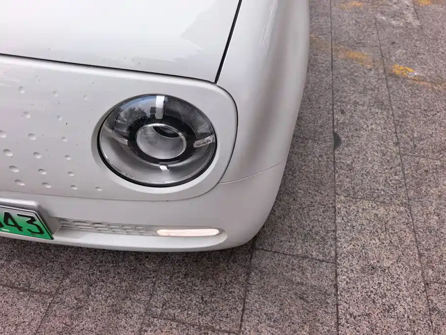Ora Black Cat 2020 2021 351km Luxury Model