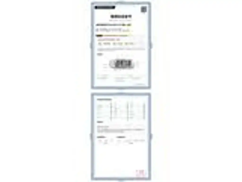 Ford Bronco 2025 2024 2.3T Badlands