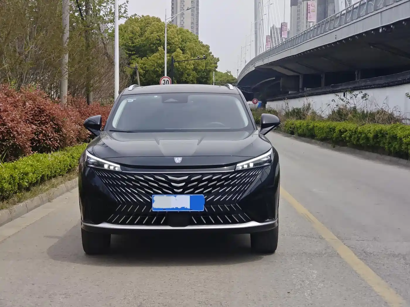 ROEWE RX5