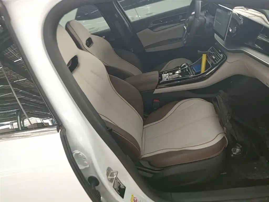 BYD Qin PLUS 2024 Glory Edition EV 510KM Leading фото 25