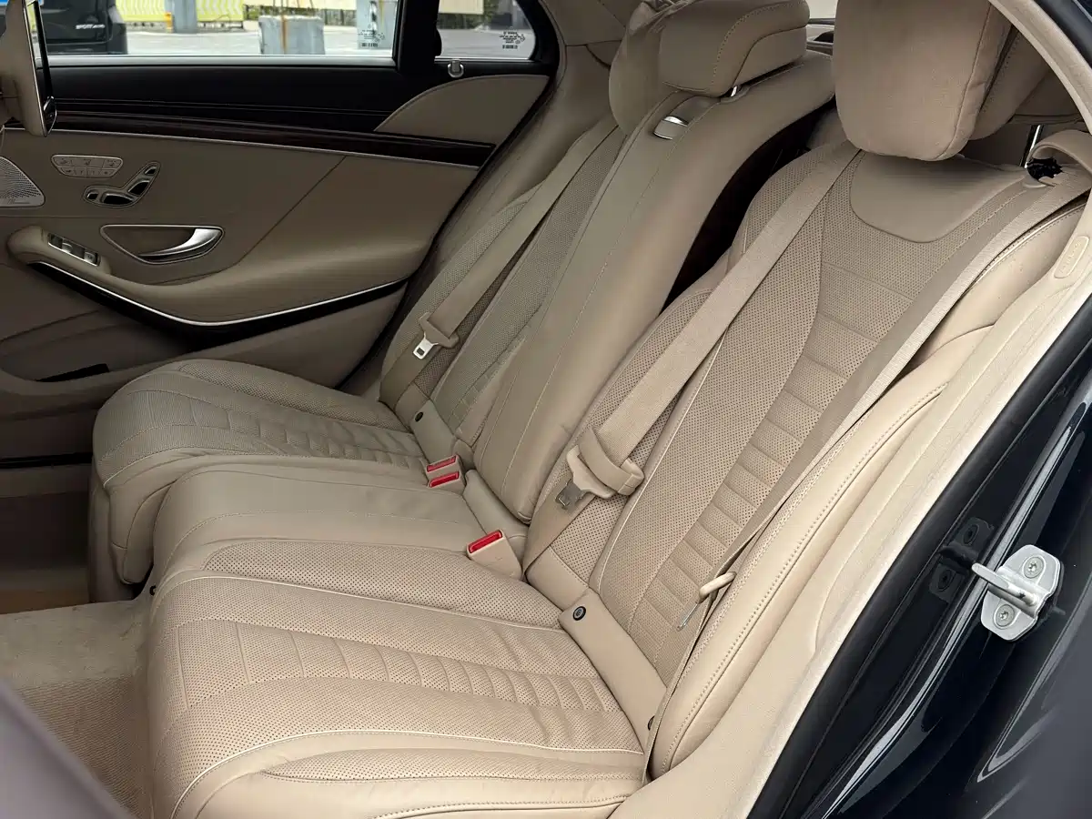 Mercedes-Benz S-Class 2014 S 500 L фото 15