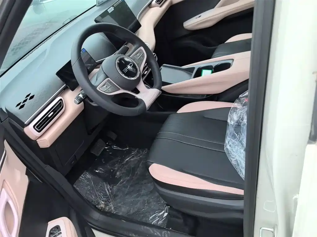 BYD Seagull 2025 Smart Drive Edition 305km Vitality Version фото 15