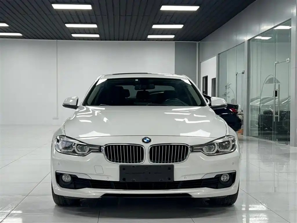 BMW 3 Series 2018 320Li Fashion Style фото 2