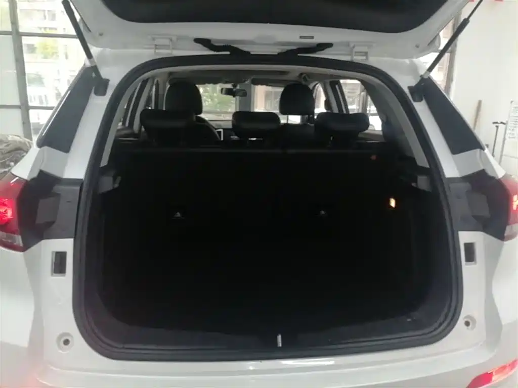 Haval H6 Coupe 2019 1.5T Auto 2WD Elite Version China V фото 19