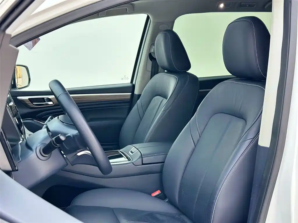 GAC Trumpchi Trumpchi M8 2021 Leading Show Series 390T Premium Edition фото 20