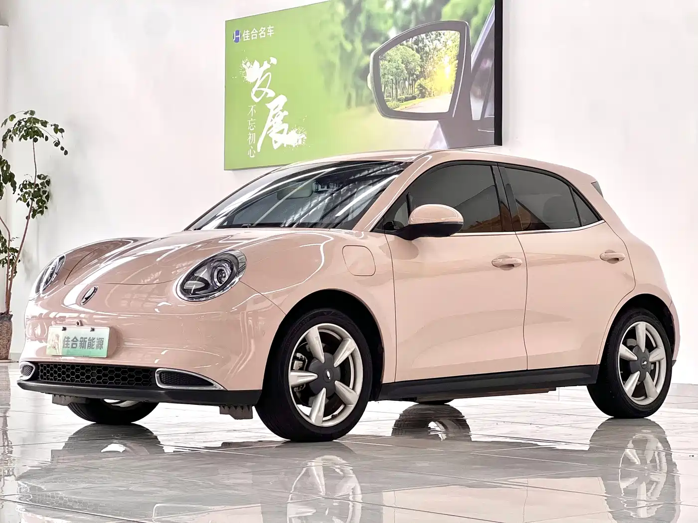 Ora Good Cat 2022 2022 400km Standard Range Luxury LFP
