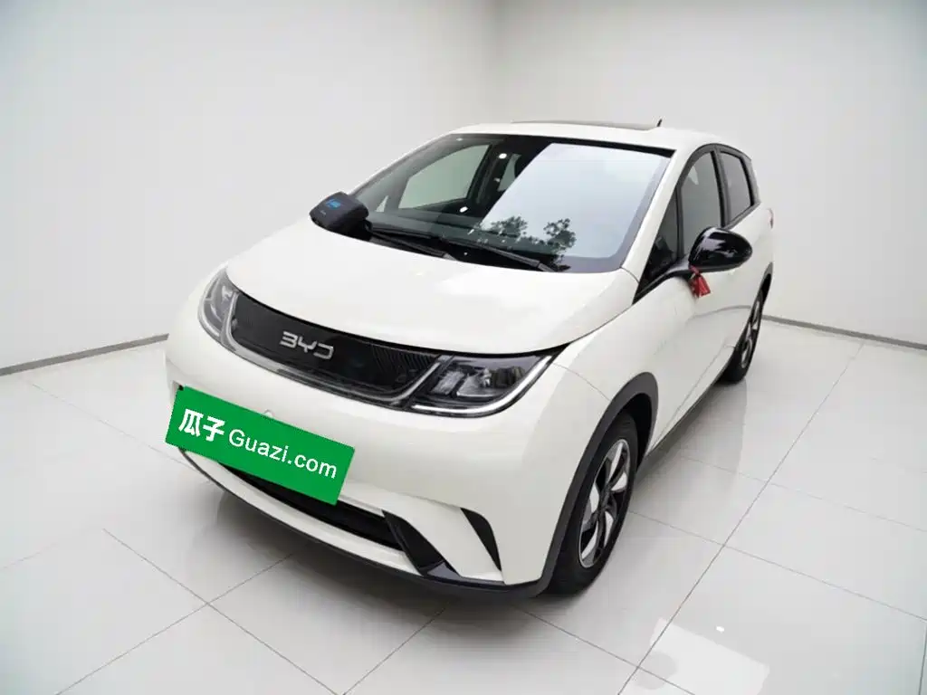 BYD Dolphin 2026 2025 420km Freedom Edition