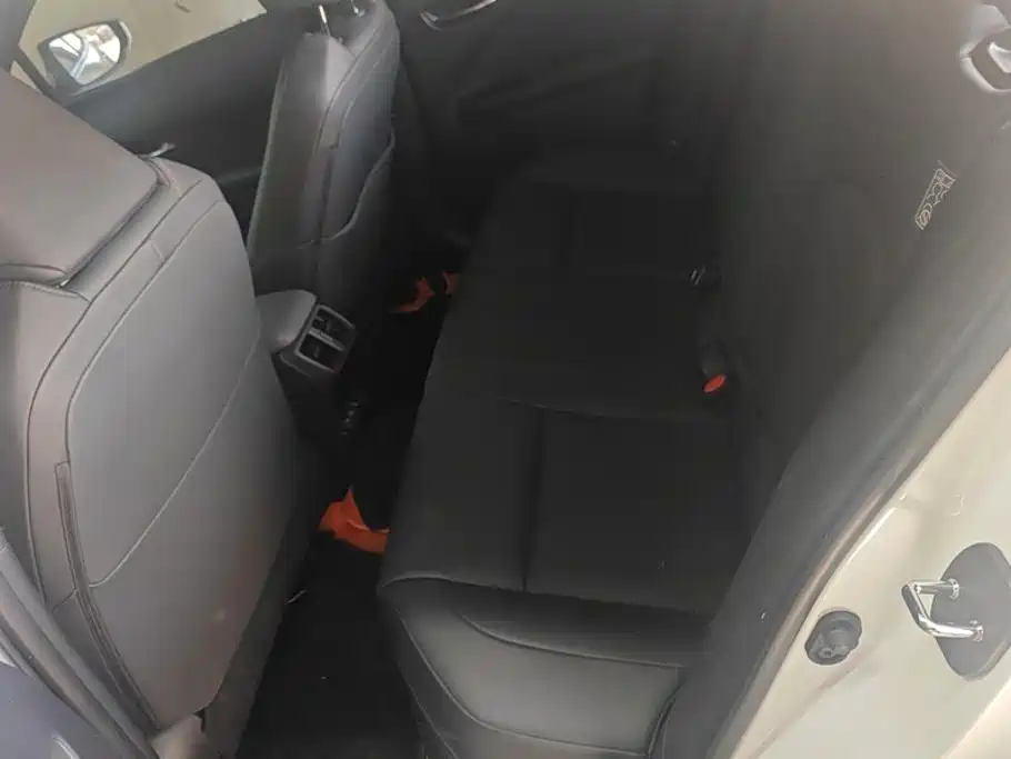 Lexus UX Electric 2022 2020 300e Pure Yue Edition