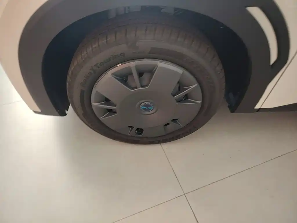 BYD Seagull 2026 2025 Smart Drive Edition 305km Vitality Version