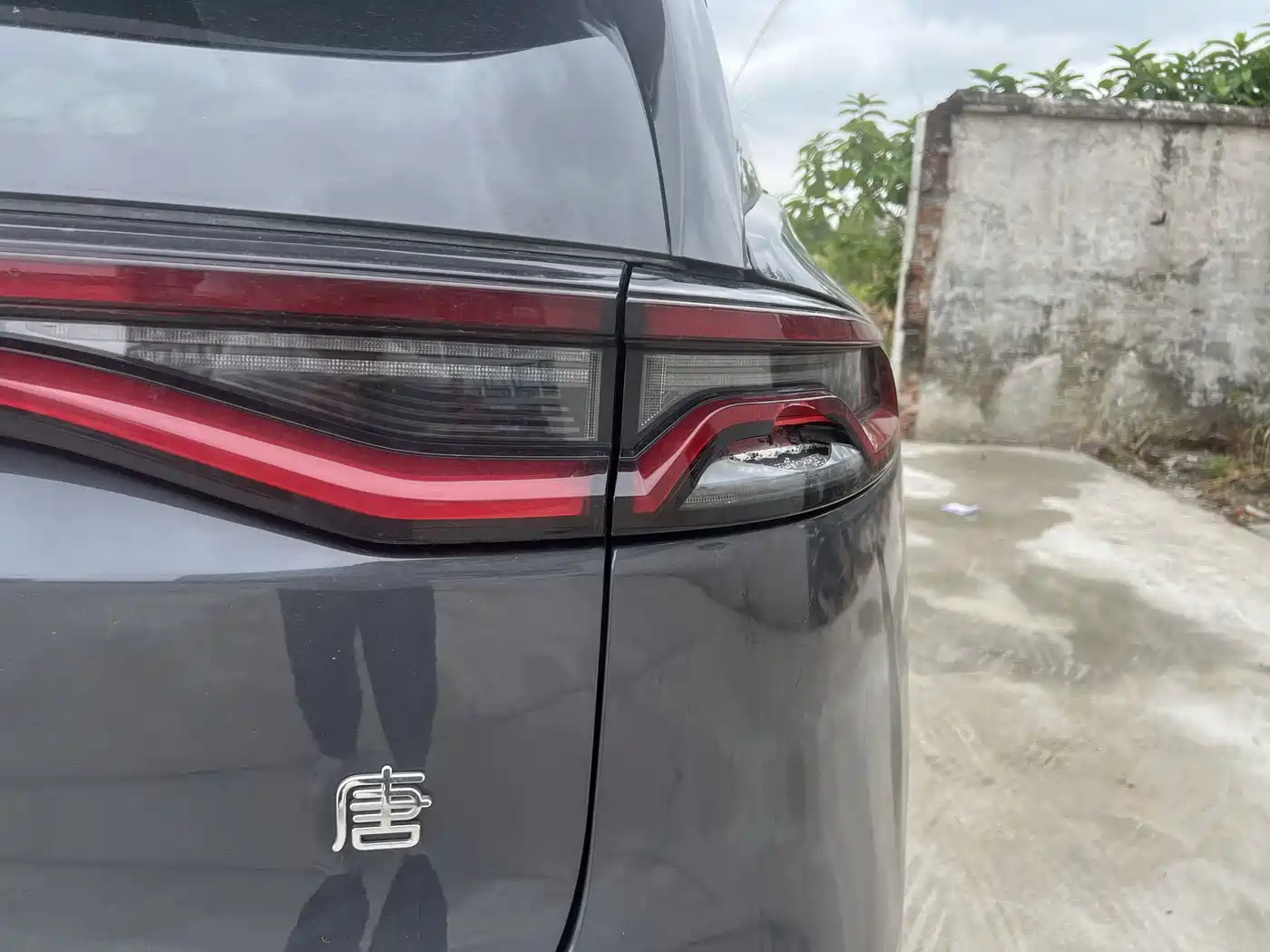 BYD Tang New Energy 2023 Model DM-i Champion Edition 112KM Honor фото 12