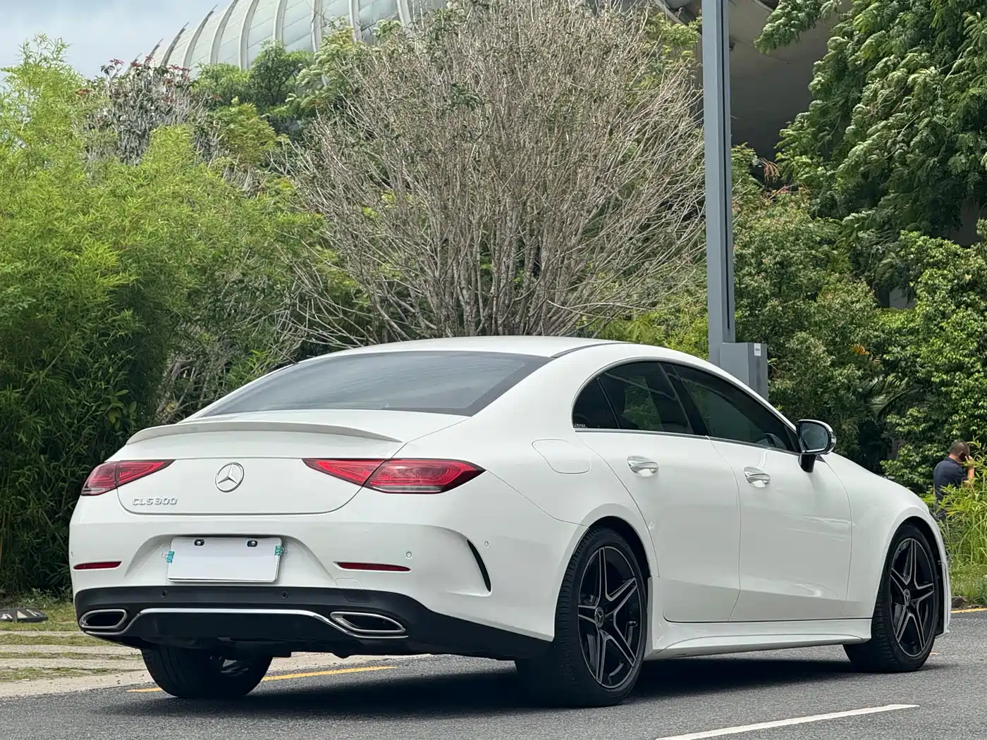 Mercedes-Benz CLS 2021 CLS 300 Luxury фото 4