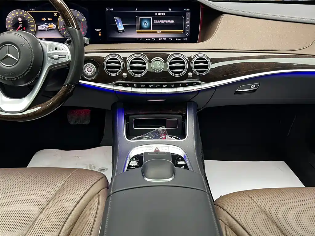 Mercedes-Benz S-Class 2020 S 350 L Premium Edition Collector's Version фото 13