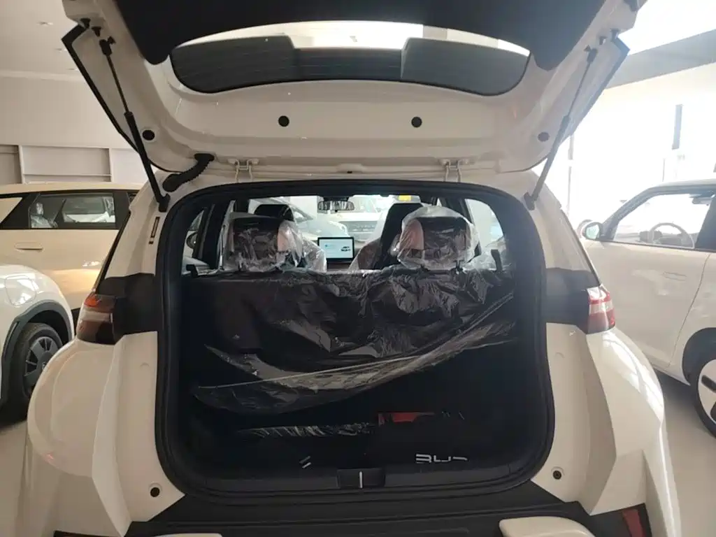 BYD Seagull 2026 2025 Smart Drive Edition 305km Vitality Version