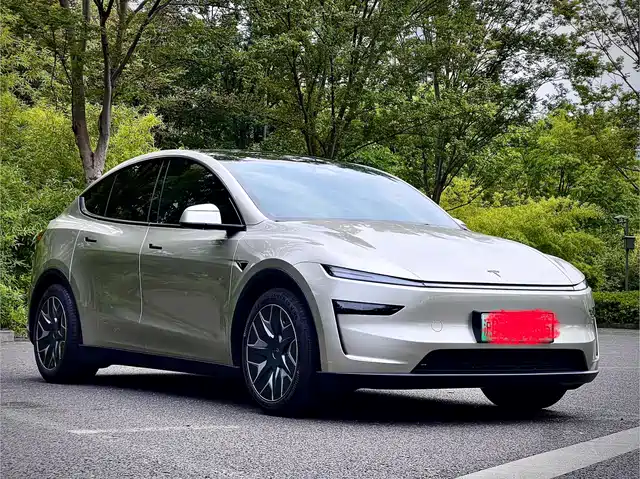 Tesla Model Y L, фото 3