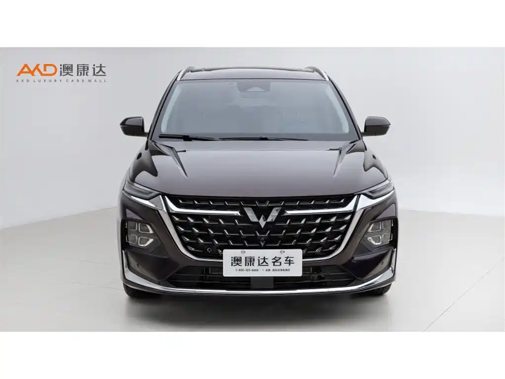 Wuling Motors Wuling Victory 2025 2023 2.0L DHT Luxury Edition
