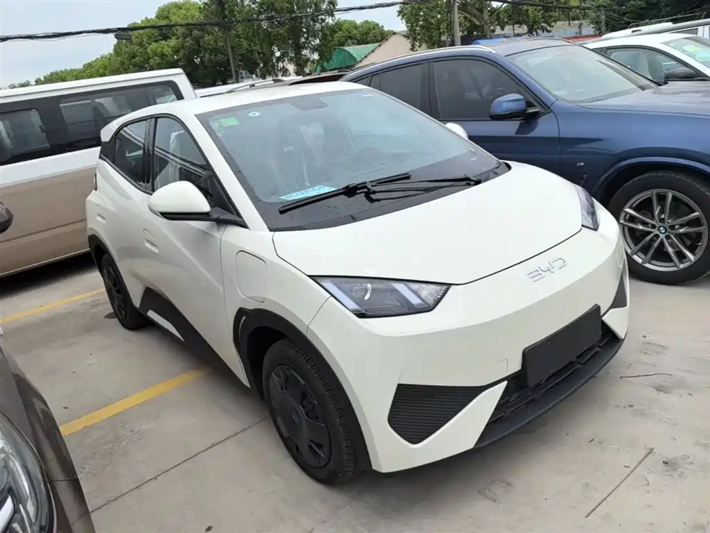 BYD Seagull 2025 Smart Drive Edition 305km Vitality Version фото 4