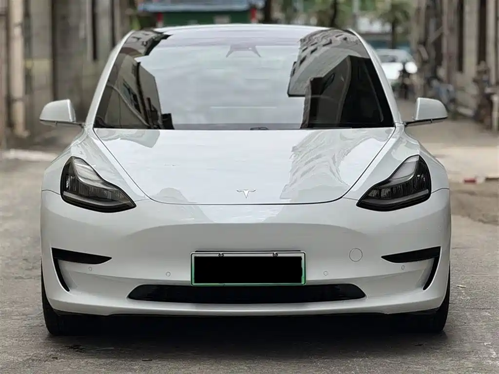 Tesla Model 3 2019 Standard Range Rear-Wheel Drive Upgrade фото 2