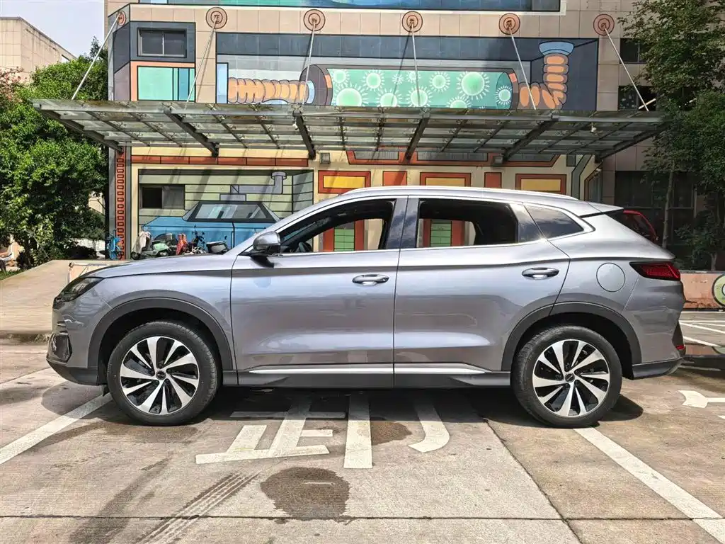 BYD SONGJIANG NEW ENERGY