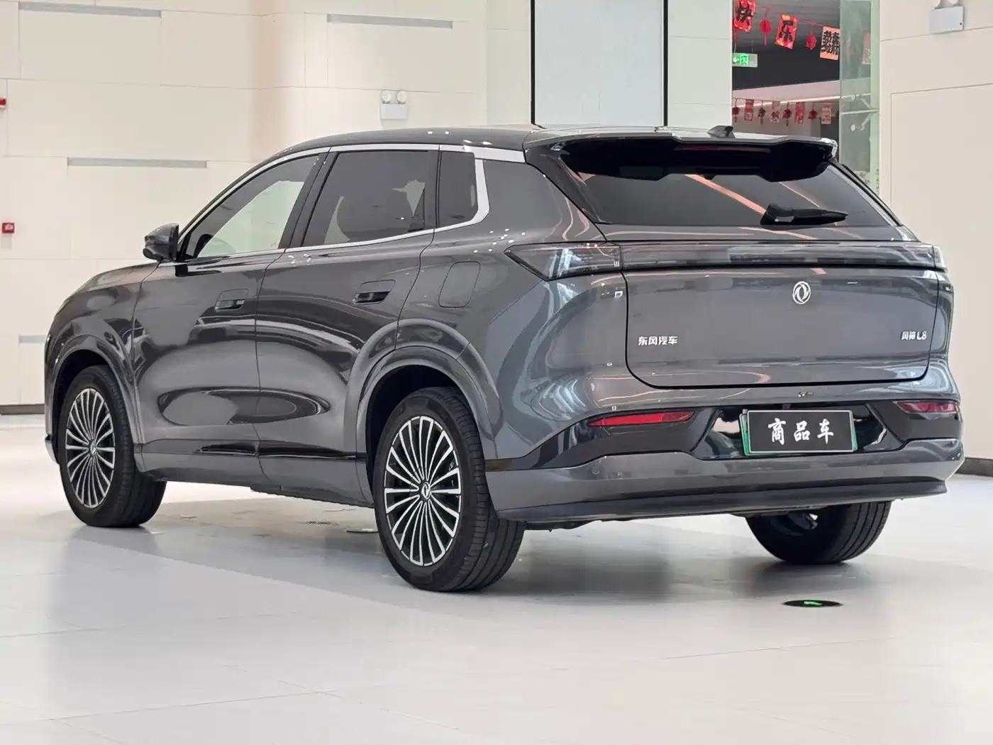 Photo 7 - Dongfeng Aeolus L8
