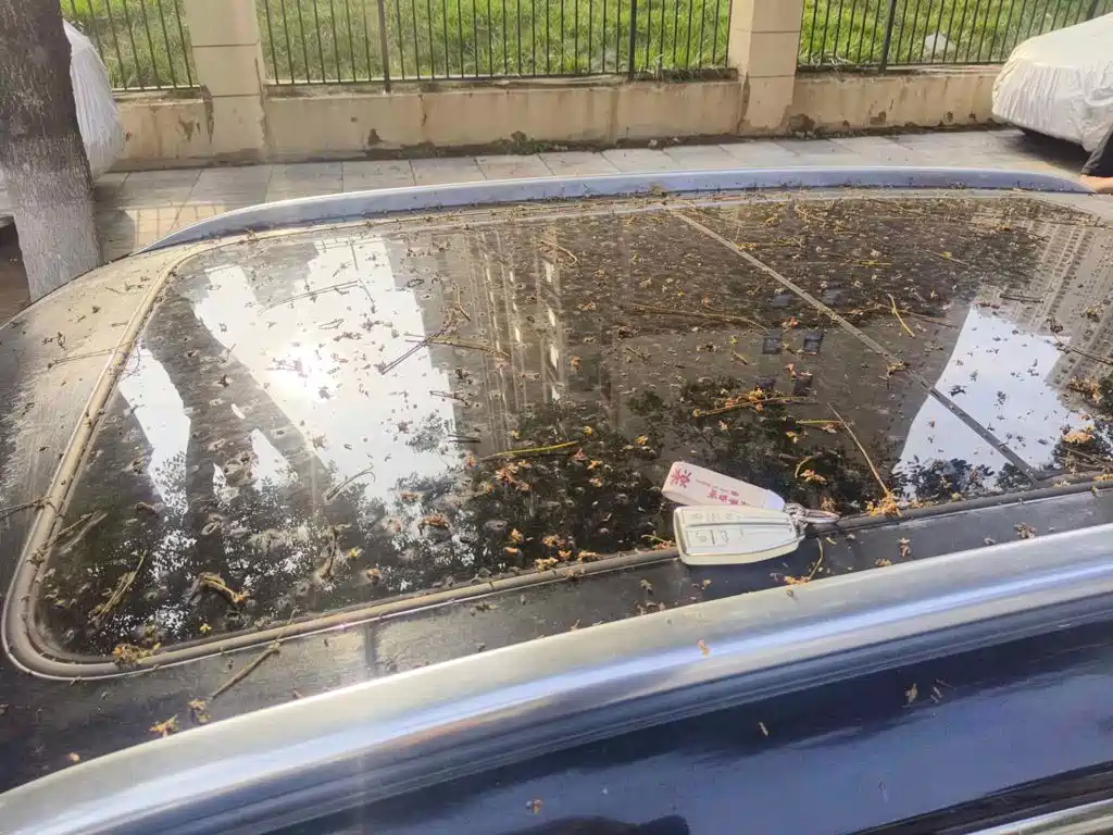 Hongqi HS5 2020 2019 2.0T Smart Connect Enjoy Edition